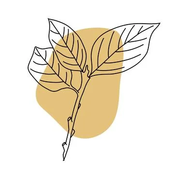 Three Leaf Twig Minimalist Line Art Design Illustrazione stock