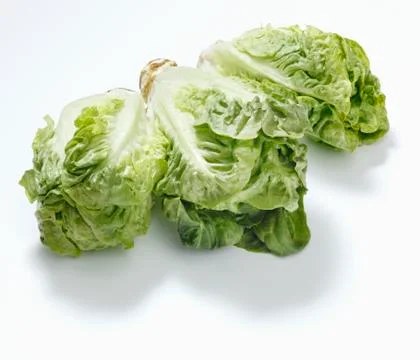 Three lettuce hearts Stock Photos