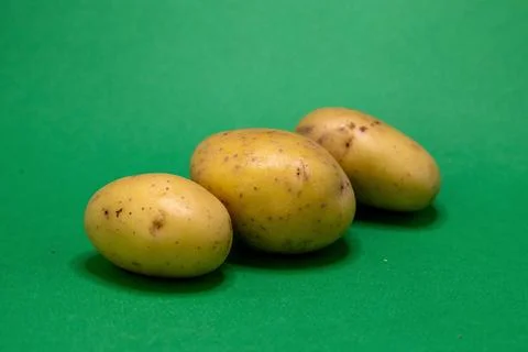 Three light brown potatoes with dark spots are arranged on a bright green bac Stock Photos