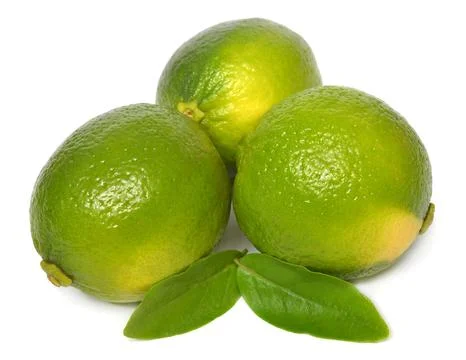 Three lime fruit whole with leaves isolated on white background 库存照片