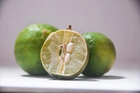 Three limes 스톡 사진