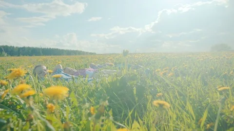 Three little boys are lying on the grass and looking at the clouds in the sky Stock Footage 79462531
