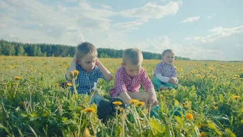 Three little boys are playing in the grass at field Stock Footage 79463025