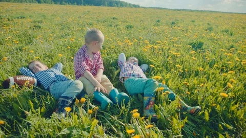 Three little boys are resting on the grass at field on summer holidays Stock Footage 79462227