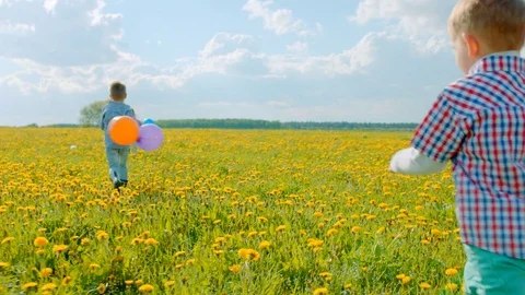 Three little boys with colour balloons running at the flowering field on summer Stock Footage 79216005