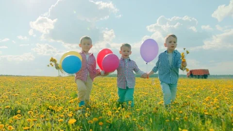 Three little boys with colour balloons walking at the flowering field on summer Stock Footage 79220286
