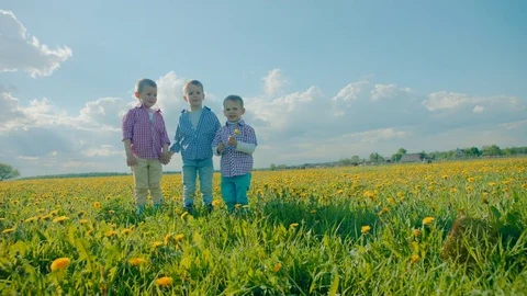 Three little boys exploding party cracker and catching confetti Stock Footage 79453338