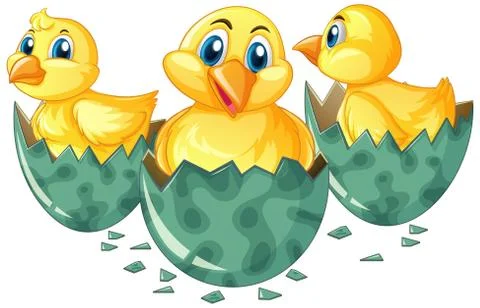 Three little chicks hatching eggs Stock Illustration
