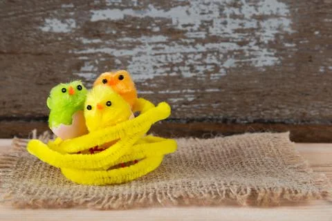 Three little colored chicks easter Stock Photos
