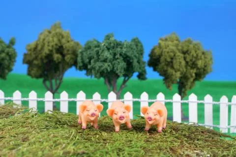 Three little pigs Stock Photos