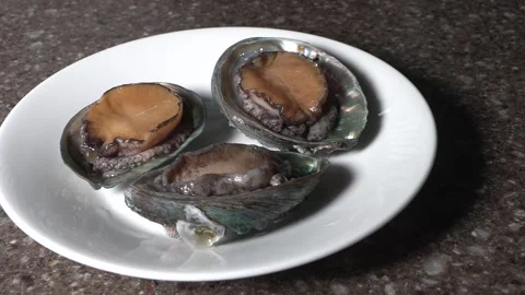 Three live abalone on a white plate. Stock Footage 293189591