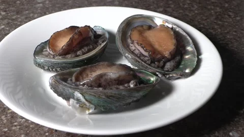 Three live abalone on a white plate. Stock Footage 293189616
