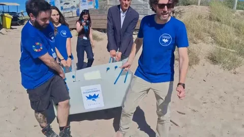 Three loggerhead turtles released on El Saler beach in Valencia, Valencia, ES -  Video stock 337557565