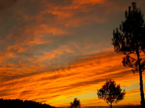 Three lonely Foto stock
