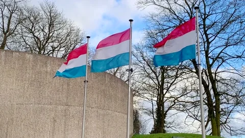 Three Luxembourg flags Stock Footage 203202901