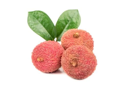 Three lychee fruits Stock Photos