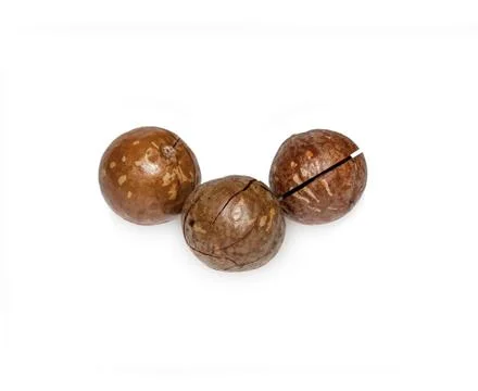 Three Macadami Nuts Stock Photos
