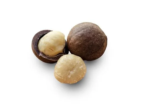 Three macadamia nuts. One nut is whole, another is cracked open showing Stock-Fotos