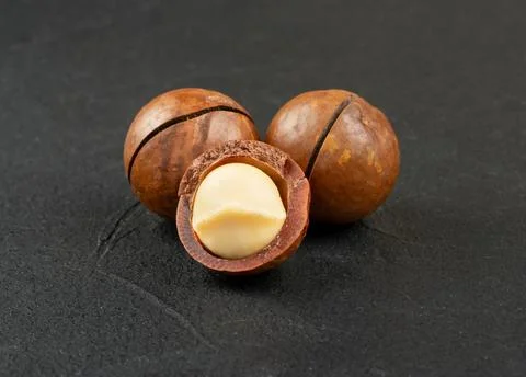 Three macadamia nuts Stock Photos