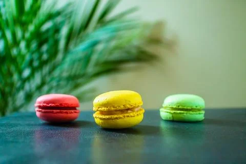 Three macaroons cookies on a dark background with a palm tree at the back. Copy Foto stock