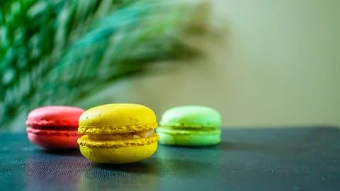 Three macaroons cookies on a dark background with a palm tree at the back. Copy Stock Photos