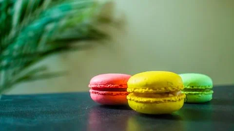 Three macaroons cookies on a dark background with a palm tree at the back. Copy Stock Photos