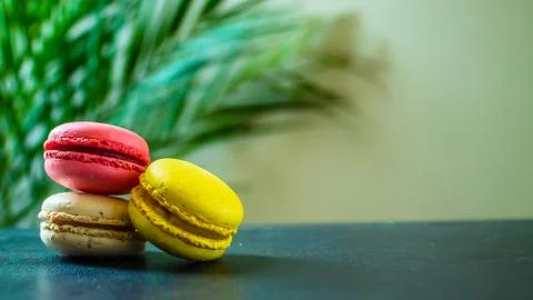 Three macaroons cookies on a dark background with a palm tree at the back. Copy Stock Photos