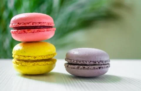 Three macaroons cookies on a light background with a palm tree at the back. Foto stock