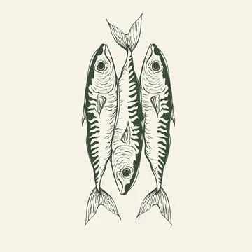 Three Mackerel Fish in a Vintage Green Line Art Composition Stock Illustration