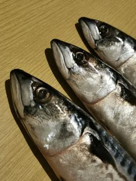 Three mackerel heads Stock Photos