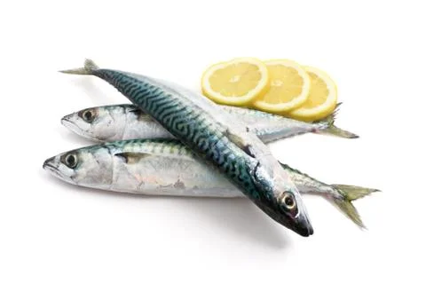 Three mackerel with lemon Stock Photos