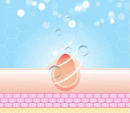 Three main layer of the human skin. skin aging stages diagrams. Stock Illustration