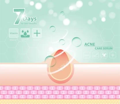 Three main layer of the human skin. skin aging stages diagrams. Illustrazione stock