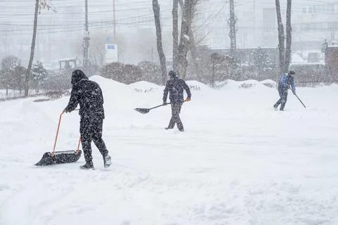 Three male workers remove snow with shovels and scrapers. It is snowing heavily Stock Photos