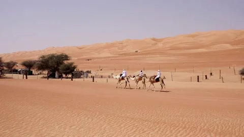 A three-man riding camel in the desert Stock Footage 202171571