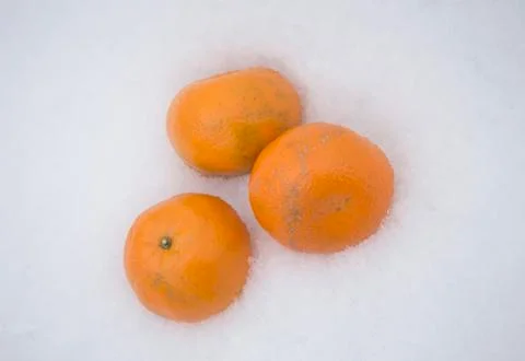 Three mandarins on a snow Stock Photos