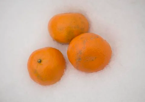 Three mandarins on a snow Stock Photos