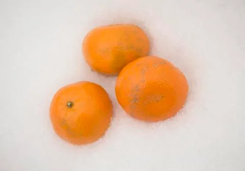 Three mandarins on a snow Stock Photos