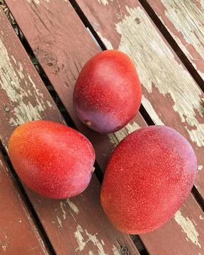 Three mango Stock Photos