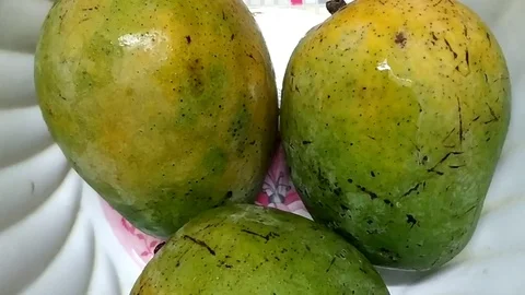 Three Mangoes in pot Stock Footage 127105655