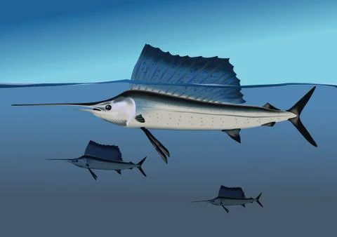 Three marlins in the blue ocean Stock Illustration