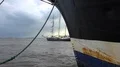 Three-masted sailing ship leave Bremerhaven behind STS Sedov Седов front 4k or 4k+ Resolution