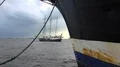 Three-masted sailing ship leave Bremerhaven behind STS Sedov Седов front 4k or 4k+ Resolution