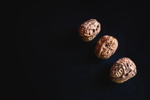 Three mediterranean walnuts 스톡 사진