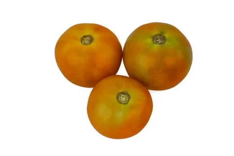 Three medium sized red colored ripe tomato isolated in a white paper backgrou Stock Photos