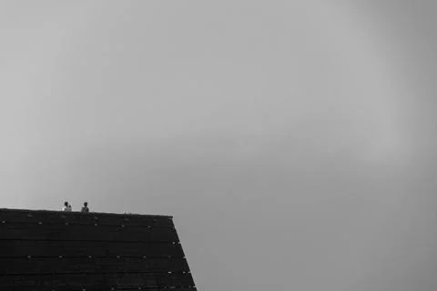 Three men on a viewing platform trying to see the sea but the fog is to thick Stock Photos