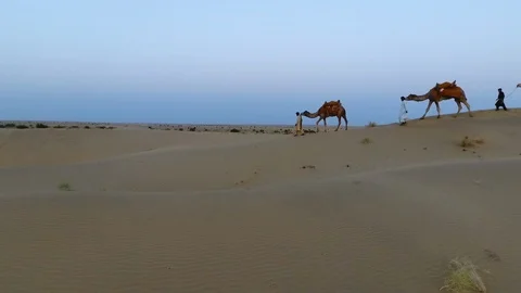 Three men walking their camels through sand dunes Stock Footage 94690700
