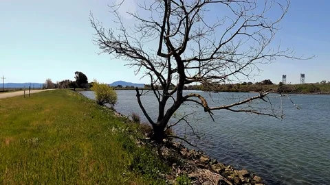 Three-Mile Slough Video stock 150904225