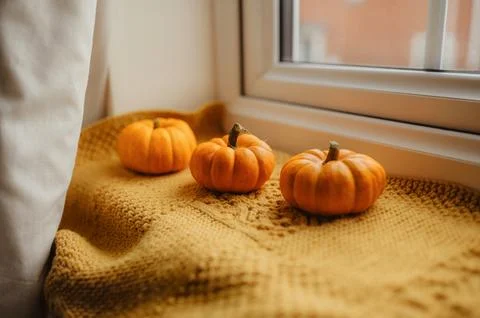 Three mini pumpkins on autumn windowsill with knitted blanket Stock Photos
