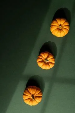 Three mini pumpkins on green background. Halloween concept. Stock Photos